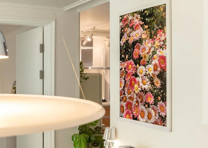 Bed & Breakfast Maison242